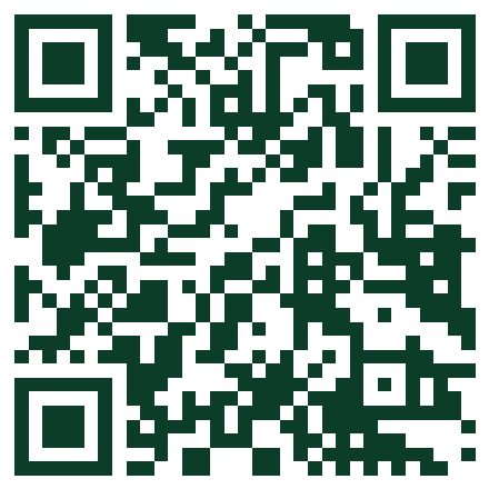 UPI QR code for SME Academy payments